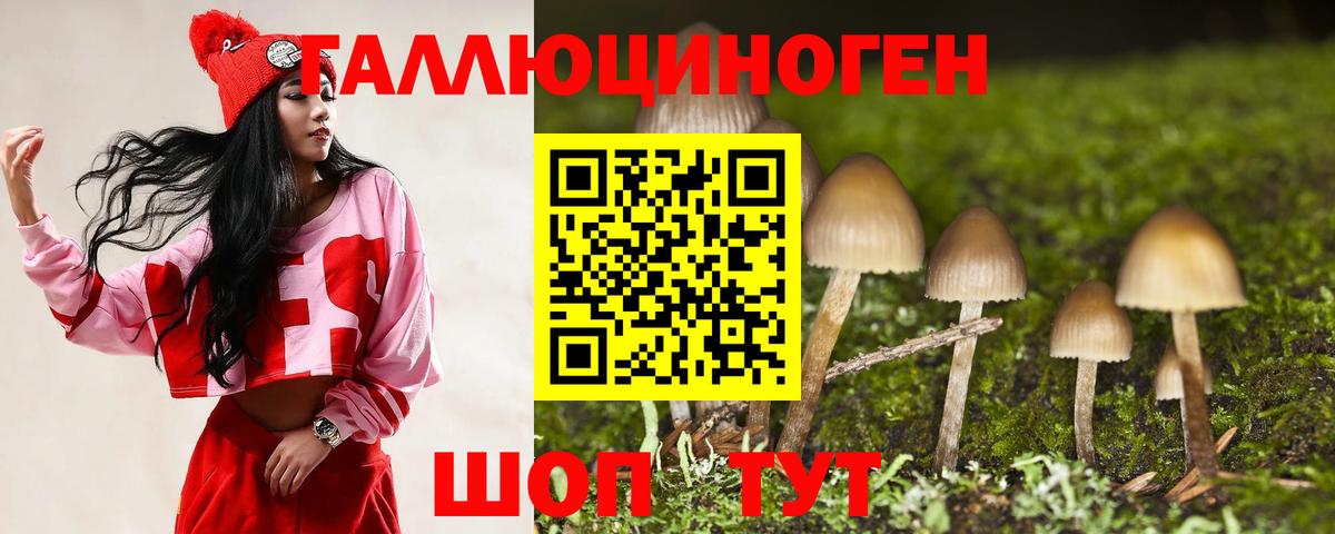 Галлюциногенные грибы мицелий Гудермес
