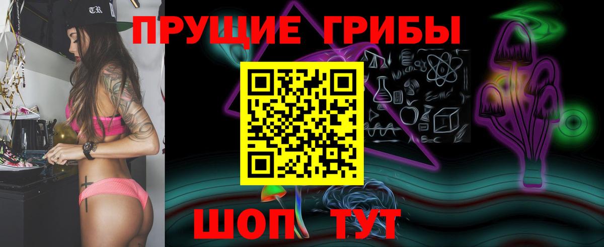 Галлюциногенные грибы MAGIC MUSHROOMS  Вход с VPN  Гудермес 