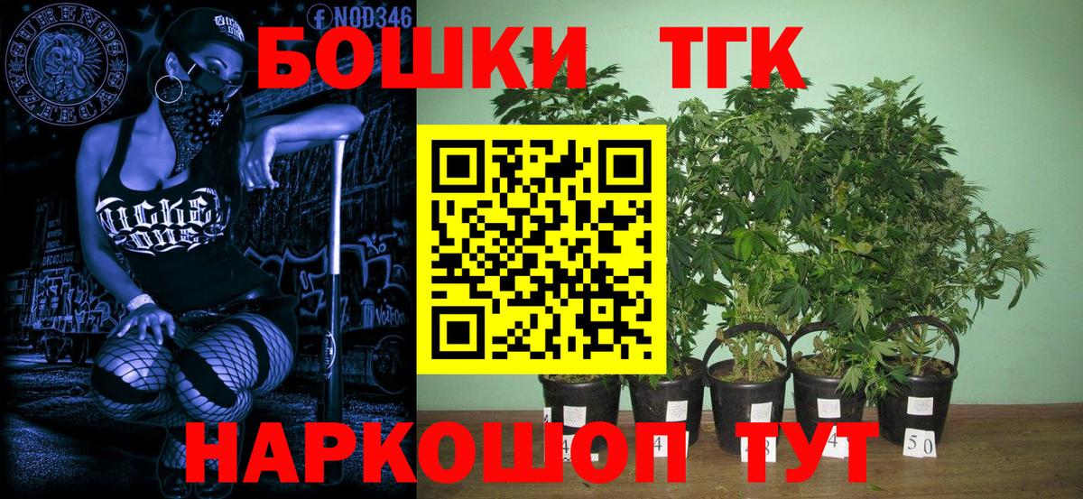 Бошки Шишки THC 21% Гудермес